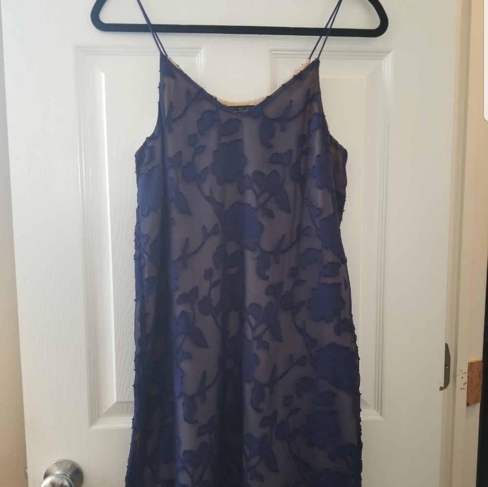 Navy and Nude lace dress